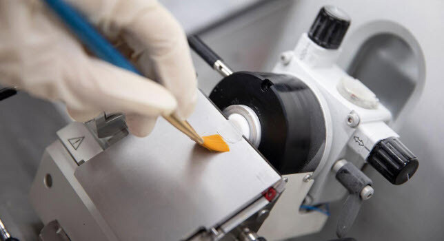 RWD Life Sciences